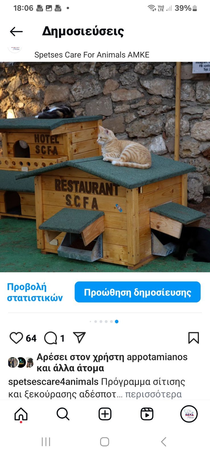 Cat's Hotel & Restaurant 13